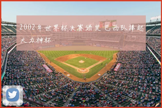 2002年世界杯决赛颁奖 巴西队捧起大力神杯