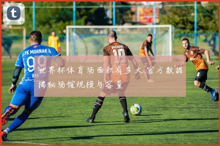 世界杯体育场面积有多大 官方数据揭秘场馆规模与容量