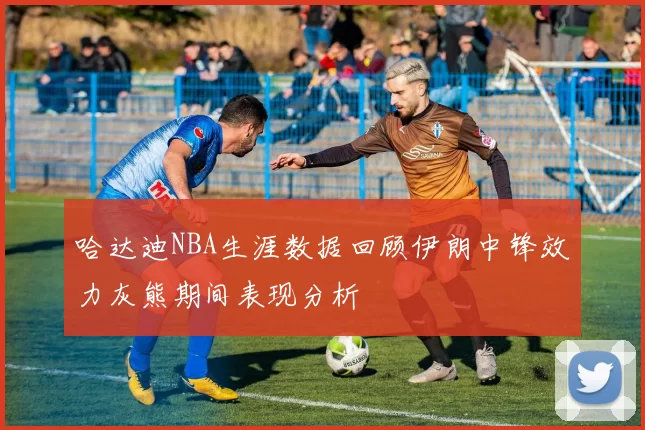 哈达迪NBA生涯数据回顾伊朗中锋效力灰熊期间表现分析