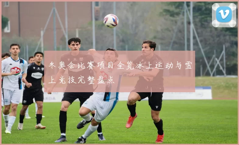 冬奥会比赛项目全览冰上运动与雪上竞技完整盘点