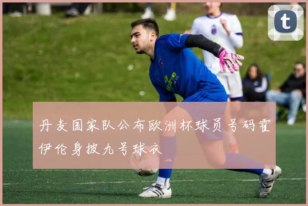 丹麦国家队公布欧洲杯球员号码霍伊伦身披九号球衣