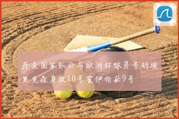 丹麦国家队公布欧洲杯球员号码埃里克森身披10号霍伊伦获9号