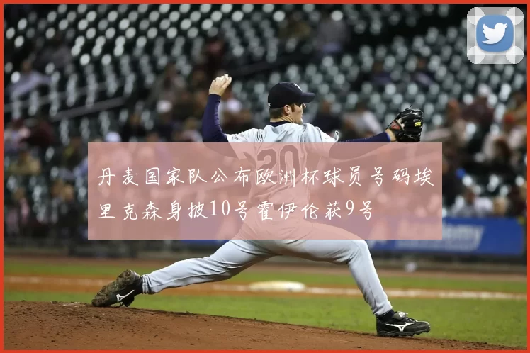 丹麦国家队公布欧洲杯球员号码埃里克森身披10号霍伊伦获9号