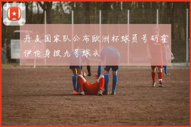 丹麦国家队公布欧洲杯球员号码霍伊伦身披九号球衣